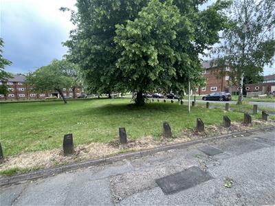 Picture 13
